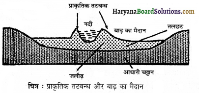 HBSE 11th Class Geography Solutions Chapter 2 संरचना तथा भू-आकृति विज्ञान 4