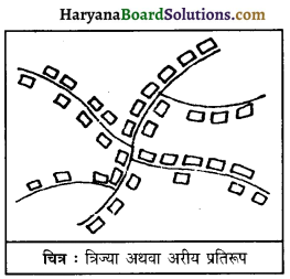 HBSE 12th Class Geography Important Questions Chapter 4 मानव बस्तियाँ 3