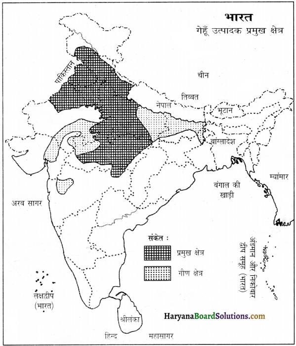 HBSE 12th Class Geography Important Questions Chapter 5 भूसंसाधन तथा कृषि 4