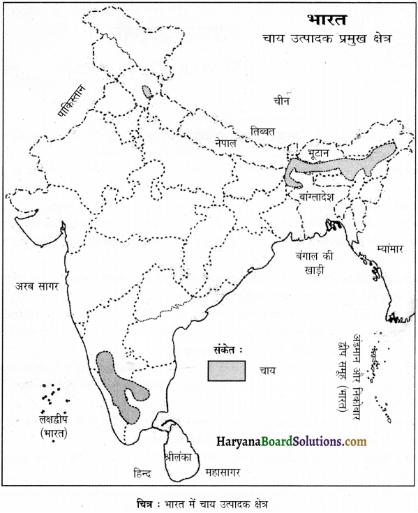 HBSE 12th Class Geography Important Questions Chapter 5 भूसंसाधन तथा कृषि 7
