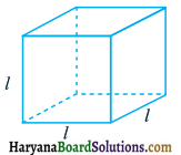 HBSE 6th Class Maths Solutions Chapter 11 बीजगणित Ex 11.2 2