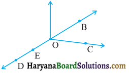 HBSE 6th Class Maths Solutions Chapter 4 आधारभूत ज्यामितीय अवधारणाएँ Ex 4.1 - 1
