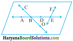HBSE 6th Class Maths Solutions Chapter 4 आधारभूत ज्यामितीय अवधारणाएँ Ex 4.1 - 3