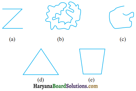 HBSE 6th Class Maths Solutions Chapter 4 आधारभूत ज्यामितीय अवधारणाएँ Ex 4.2 - 1