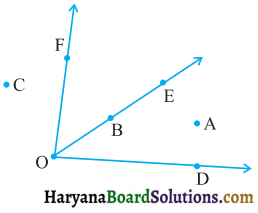 HBSE 6th Class Maths Solutions Chapter 4 आधारभूत ज्यामितीय अवधारणाएँ Ex 4.3 - 2