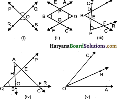 HBSE 6th Class Maths Solutions Chapter 4 आधारभूत ज्यामितीय अवधारणाएँ Ex 4.3 - 3