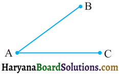 HBSE 6th Class Maths Solutions Chapter 4 आधारभूत ज्यामितीय अवधारणाएँ InText Questions 1