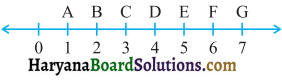 HBSE 6th Class Maths Solutions Chapter 5 प्रारंभिक आकारों को समझना Ex 5.1 - 1