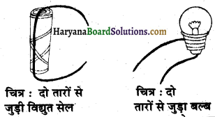 HBSE 6th Class Science Solutions Chapter 12 विद्युत तथा परिपथ -13