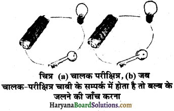 HBSE 6th Class Science Solutions Chapter 12 विद्युत तथा परिपथ -15