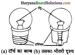HBSE 6th Class Science Solutions Chapter 12 विद्युत तथा परिपथ -7