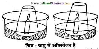 HBSE 6th Class Science Solutions Chapter 15 हमारे चारों ओर वायु -1