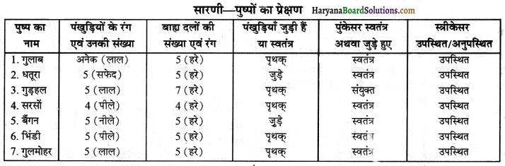 HBSE 6th Class Science Solutions Chapter 7 पौधों को जानिए -14