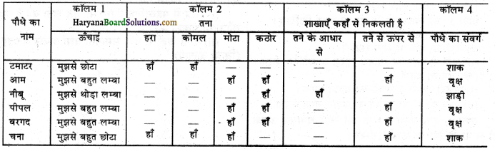 HBSE 6th Class Science Solutions Chapter 7 पौधों को जानिए -7