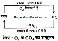 HBSE 7th Class Science Solutions Chapter 17 वन हमारी जीवन रेखा -1