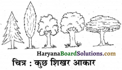 HBSE 7th Class Science Solutions Chapter 17 वन हमारी जीवन रेखा -4