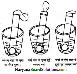 HBSE 7th Class Science Solutions Chapter 8 पवन, तूफ़ान और चक्रवात -2