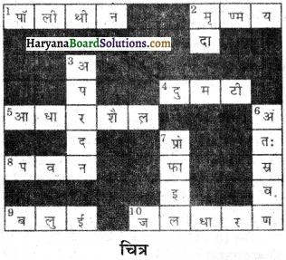 HBSE 7th Class Science Solutions Chapter 9 मृदा -4