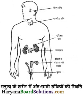 HBSE 8th Class Science Solutions Chapter 10 किशोरावस्था की ओर -7