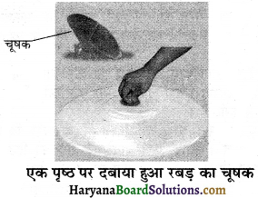 HBSE 8th Class Science Solutions Chapter 11 बल तथा दाब -10