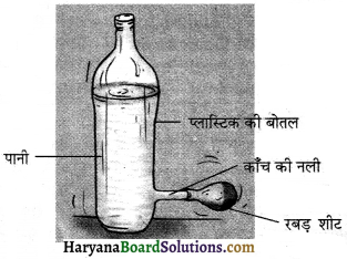 HBSE 8th Class Science Solutions Chapter 11 बल तथा दाब -8