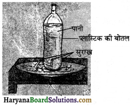 HBSE 8th Class Science Solutions Chapter 11 बल तथा दाब -9