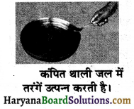HBSE 8th Class Science Solutions Chapter 13 ध्वनि -3