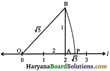 HBSE 9th Class Maths Solutions Chapter 1 संख्या पद्धति Ex 1.2 - 1