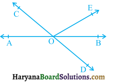 HBSE 9th Class Maths Solutions Chapter 6 रेखाएँ और कोण Ex 6.1 - 1