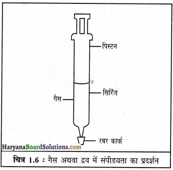 HBSE 9th Class Science Important Questions Chapter 1 हमारे आस-पास के पदार्थ img-5