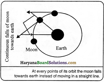 HBSE 9th Class Science Important Questions Chapter 10 Gravitation - 4