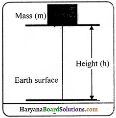 HBSE 9th Class Science Important Questions Chapter 11 Work and Energy - 6
