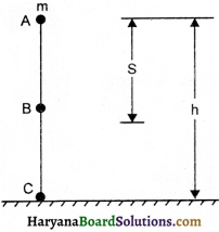 HBSE 9th Class Science Important Questions Chapter 11 Work and Energy - 7