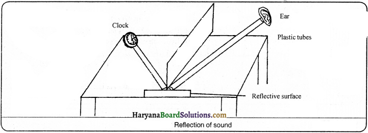 HBSE 9th Class Science Important Questions Chapter 12 Sound - 9