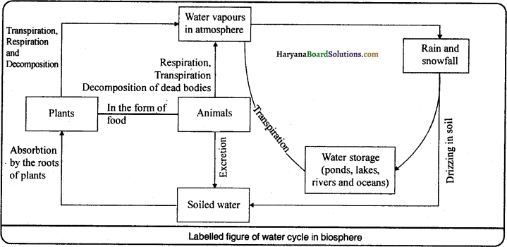 HBSE 9th Class Science Important Questions Chapter 14 Natural Resources - 2