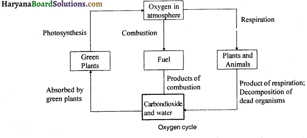 HBSE 9th Class Science Important Questions Chapter 14 Natural Resources - 4