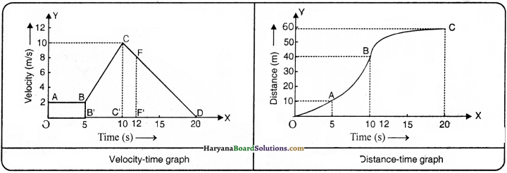 HBSE 9th Class Science Important Questions Chapter 8 Motion - 32