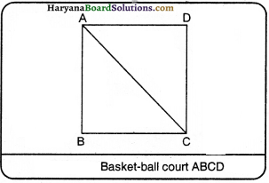 HBSE 9th Class Science Important Questions Chapter 8 Motion - 33