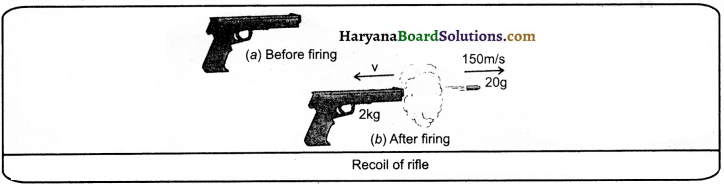 HBSE 9th Class Science Important Questions Chapter 9 Force and Laws of Motion - 8