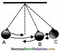 HBSE 9th Class Science Solutions Chapter 11 Work and Energy - 5