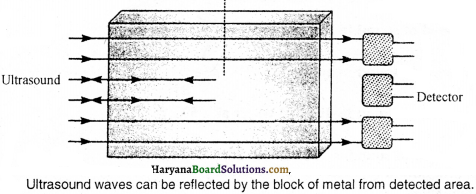 HBSE 9th Class Science Solutions Chapter 12 Sound - 5