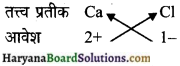 HBSE 9th Class Science Solutions Chapter 3 परमाणु एवं अणु img-10