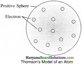 HBSE 9th Class Science Solutions Chapter 4 Structure of the Atom - 10