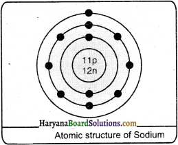 HBSE 9th Class Science Solutions Chapter 4 Structure of the Atom - 4