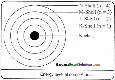 HBSE 9th Class Science Solutions Chapter 4 Structure of the Atom - 9