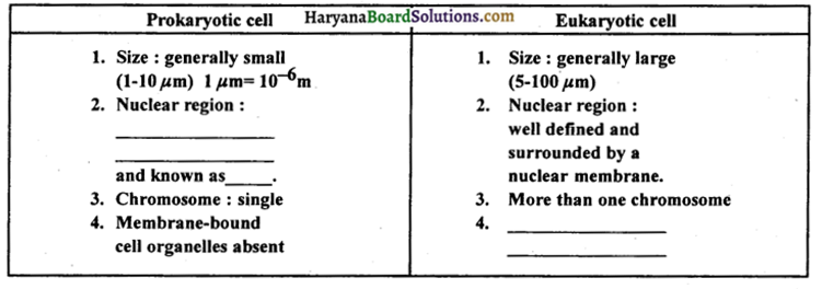 HBSE 9th Class Science Solutions Chapter 5 The Fundamental Unit of Life - 2