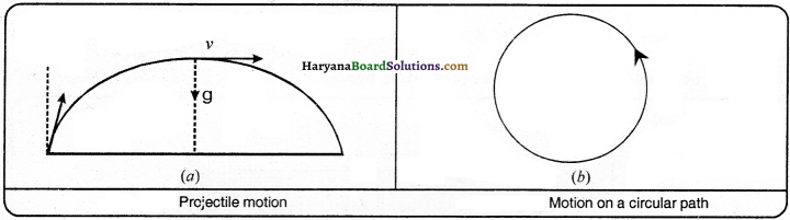 HBSE 9th Class Science Solutions Chapter 8 Motion - 18