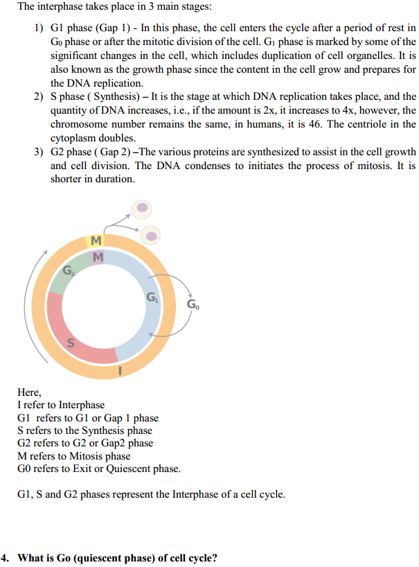 HBSE 11th Class Biology Solutions Chapter 10 Cell Cycle and Cell Division 2