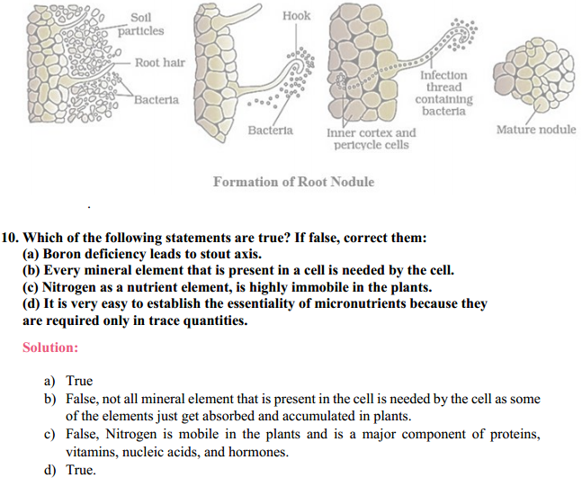 HBSE 11th Class Biology Solutions Chapter 12 Mineral Nutrition 6