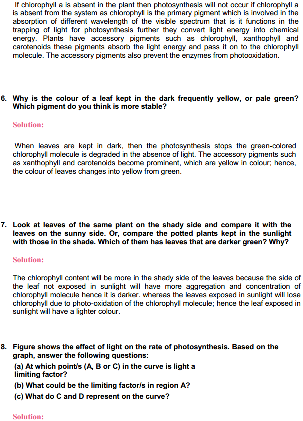 HBSE 11th Class Biology Solutions Chapter 13 Photosynthesis 3